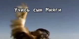 Video sticker 🌟 ЧIНАЗЕС!!! :: @fStikBot