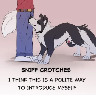 Telegram sticker 👃 Mintydoggos