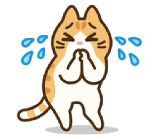 Video sticker 😭 Chewy the Kitty | @cutestickers4you