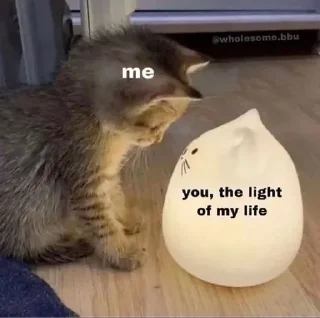 Телеграм стикер 🫣 Catyy♡ @shatap_awsm :: @fStikBot