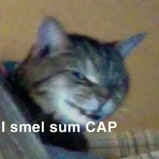 Телеграм стикер 🔪 Catyy♡ @shatap_awsm :: @fStikBot