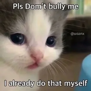 Video sticker 🥺 Catyy♡ @shatap_awsm :: @fStikBot