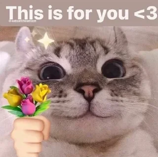 Телеграм стикер 👋 Catyy♡ @shatap_awsm :: @fStikBot