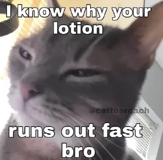 Телеграм стикер 😳 Catyy♡ @shatap_awsm :: @fStikBot