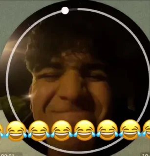 Video sticker 🐻 'Memes | @iStickerLand,