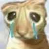 Video sticker 😭 Больше эм�...