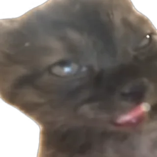 Telegram sticker 🥱 Больше стикеров → @funny_stickerss