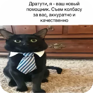 Telegram sticker 🐱 кот депутат :: @fStikBot