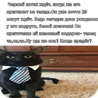 Telegram sticker 🐱 кот депутат :: @fStikBot