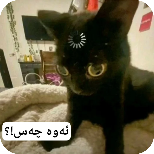 Telegram sticker 🙂 @Ev_an1mee