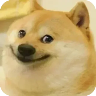 Telegram sticker 😎 CRAFTERMEME