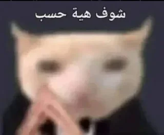 Video sticker 🤣 CRAFTERMEME