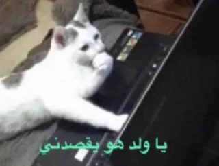 Video sticker 🎫 وحش الطاوة @SticZ_Bot • @aljoker_z_e