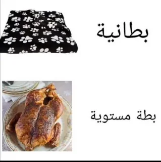 Video sticker 🙍 وحش الطاوة @SticZ_Bot • @aljoker_z_e