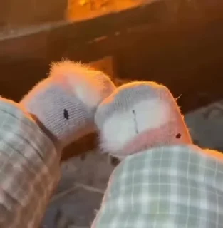 Video sticker 🌟 S𝙈𝘼𝙍𝙏𝙔 ♡︎ :: @feeling_fr @sexy :: @fStikBot