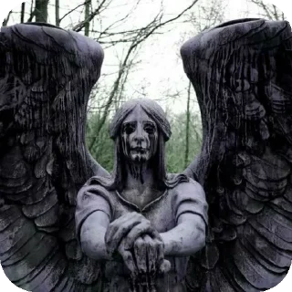 Sticker 👍 CH - @stikarsgrob