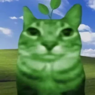 Telegram stiker 🍃 мега коты owner by empretova тгк @ReOfheaier