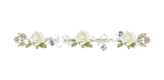Video sticker 🌼 Separator Flower Thin @PunjabiSticker