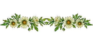Telegram sticker 🌼 Separator Flower Thin @PunjabiSticker