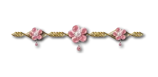 Video sticker 🌸 Separator Flower Thin @PunjabiSticker