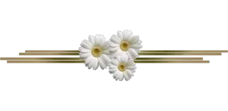 Telegram sticker 🌸 Separator Flower Thin @PunjabiSticker