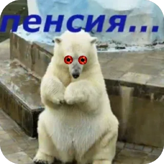 Telegram sticker 🫥 КУМКВАТ HORROR