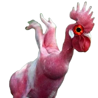 Telegram sticker 🫥 КУМКВАТ HORROR