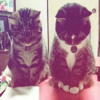 Telegram sticker 💤 type shi ⚔️ by @bruh_kkk