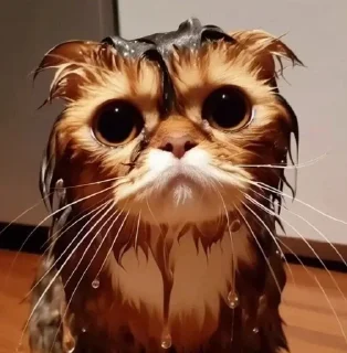 Telegram sticker ☹ type shi ⚔️ by @bruh_kkk