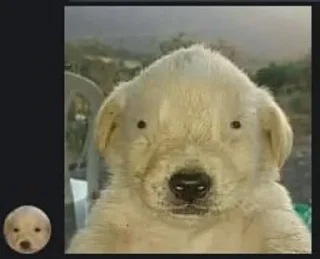 Телеграм стикер 😐 Gnose Cars :: @fStikBot