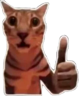 Телеграм стикер 👍 Gnose Cars :: @fStikBot