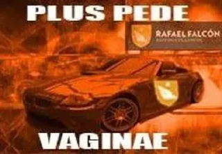 Video sticker ☯️ Gnose Cars :: @fStikBot