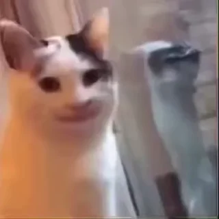 Телеграм стикер 😑 FCIT21