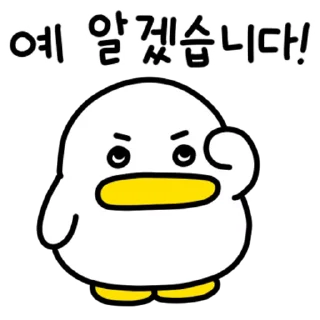 Video sticker ⭐ 꽉꽉꽉! 열세번째 곽철이 @manbull_sticker_bot