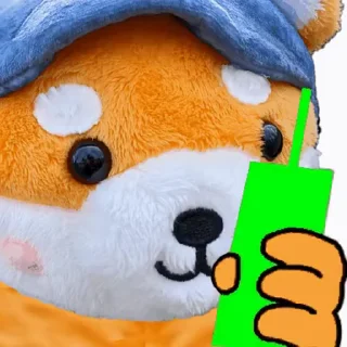 Video sticker 🚀 @AsteroidShibaCTO