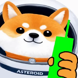 Video sticker 🚀 @AsteroidShibaCTO