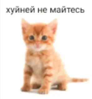 Telegram sticker 🙄 водянистые лоси • @mrsmaqpchannels