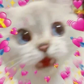 Telegram sticker 🤔 Meowy Meow Meow [ @SaberXRobot ] :: @fStikBot