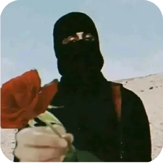 Video sticker 🌹 Noise