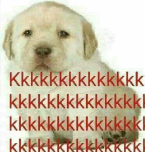 Sticker 🌟 Pedro @asseidade :: @fStikBot