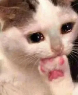 Telegram sticker 🥺 [Iᴍᴍᴏʀᴛᴀʟ]s kang pack