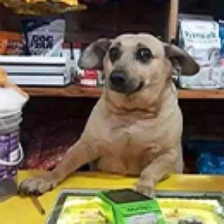 Telegram sticker 🙄 Desumano