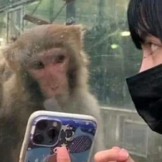 Video sticker 😶 Desumano