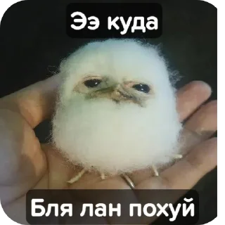 Video sticker 🖼 Название набора стикеров || @sailex_x