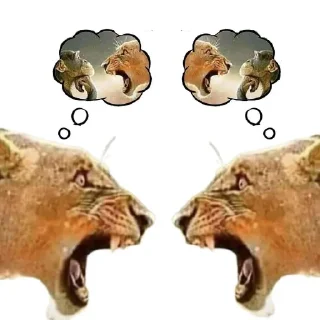 Telegram sticker 🤘 Название набора стикеров || @sailex_x