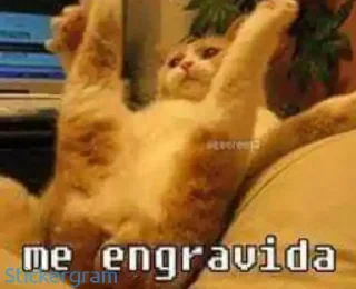 Telegram sticker 😏 Xxx