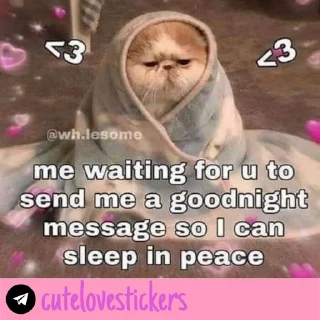 Telegram stiker 🥺 Wholesome Love 💜 @cutelovestickers