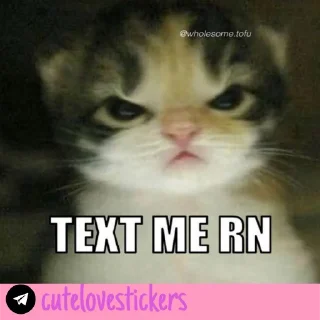 Telegram stiker 🥺 Wholesome Love 💜 @cutelovestickers