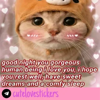 Telegram stiker 🥺 Wholesome Love 💜 @cutelovestickers