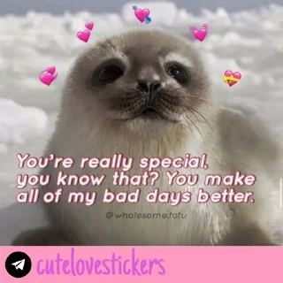 Telegram stiker 🥺 Wholesome Love 💜 @cutelovestickers